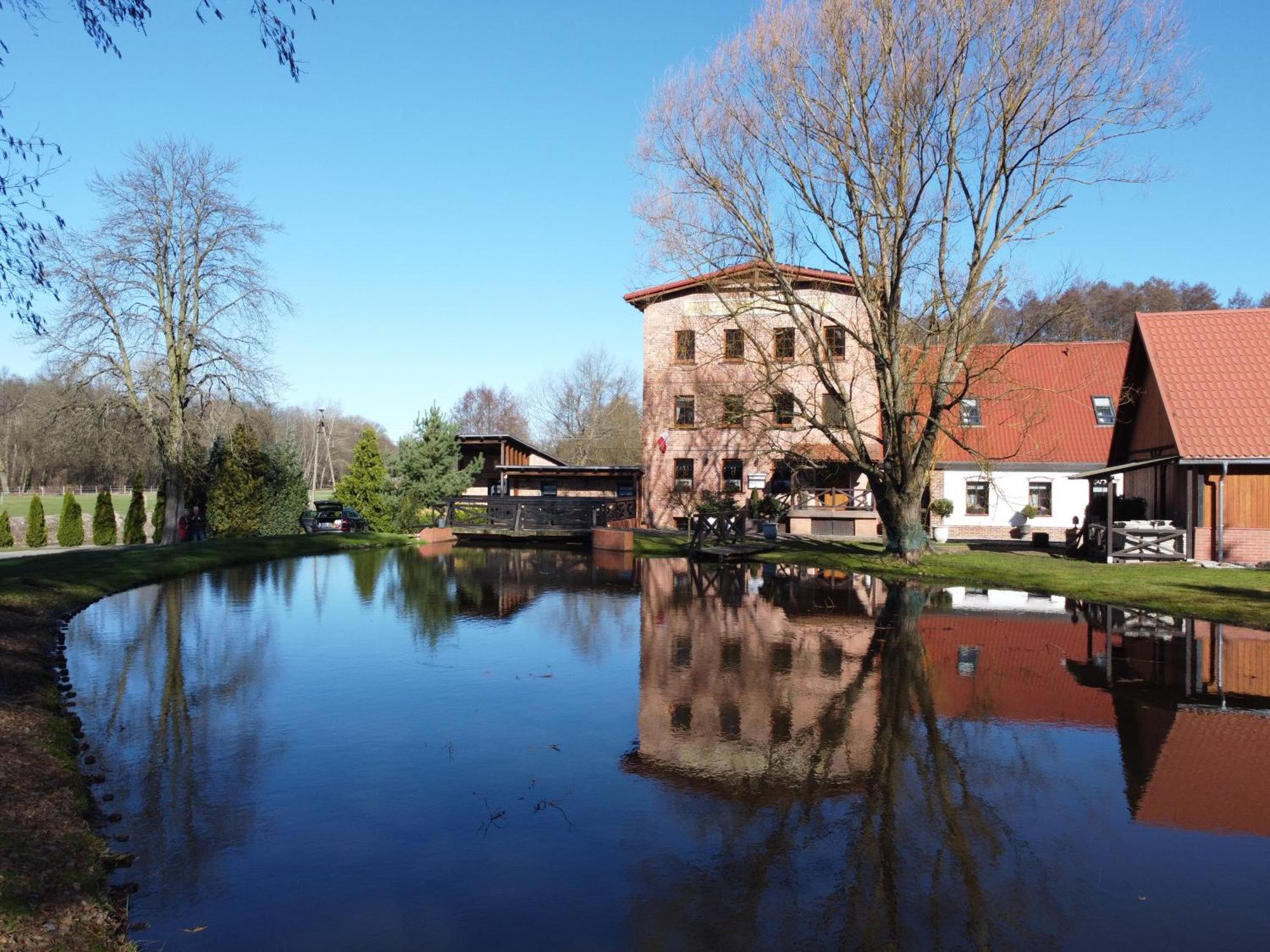 Villa Stary Mlyn W Brzeznicy Brzeznica  Exterior foto